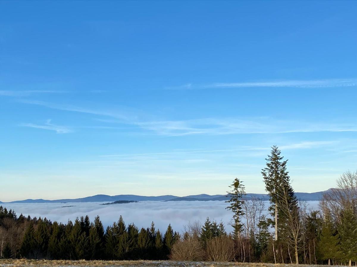 Uriges Top-Apartment Im Bayerischen Wald 3Br! +Netflix Schöfweg Exterior foto